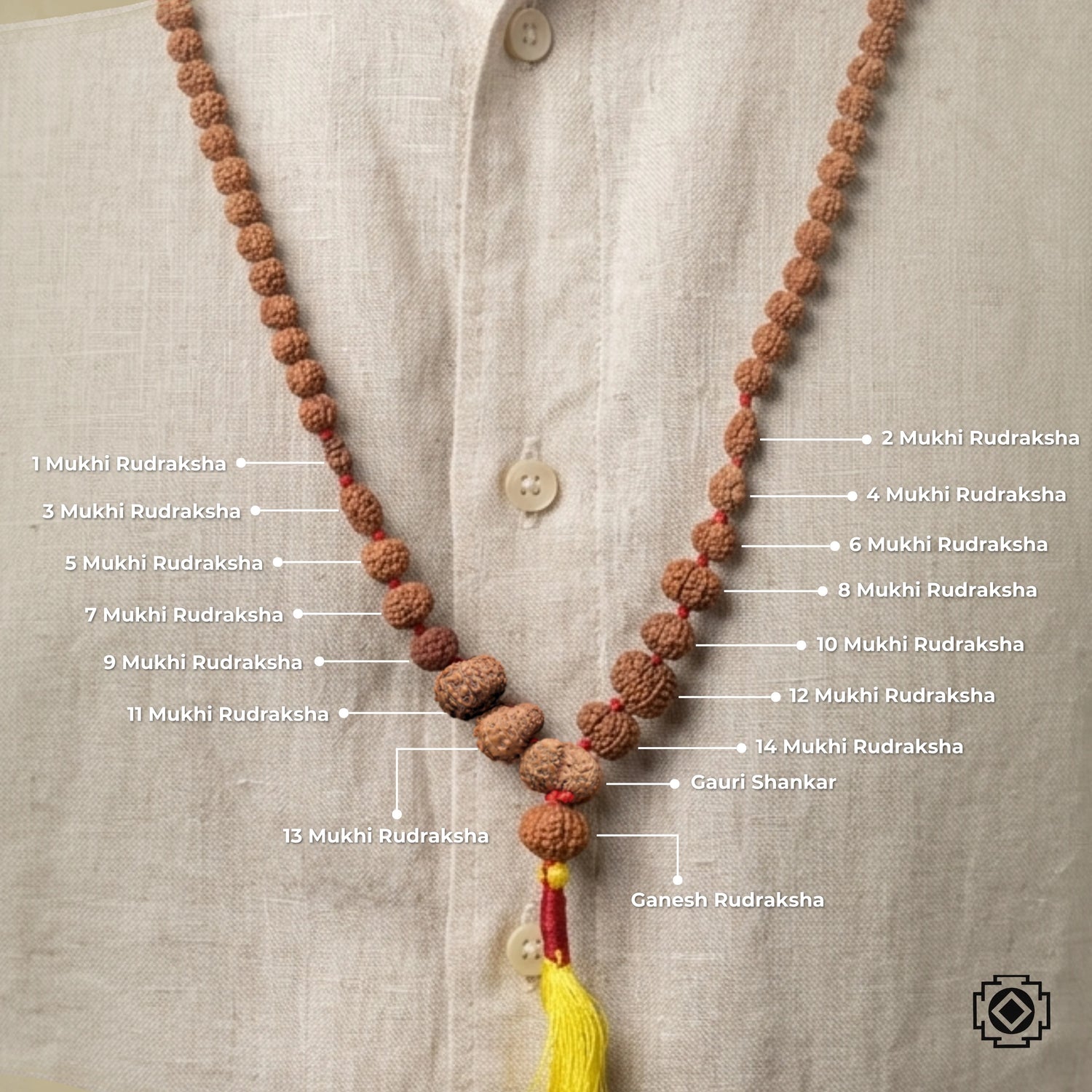 1 - 14 Mukhi Indonesian Rudraksha Kantha