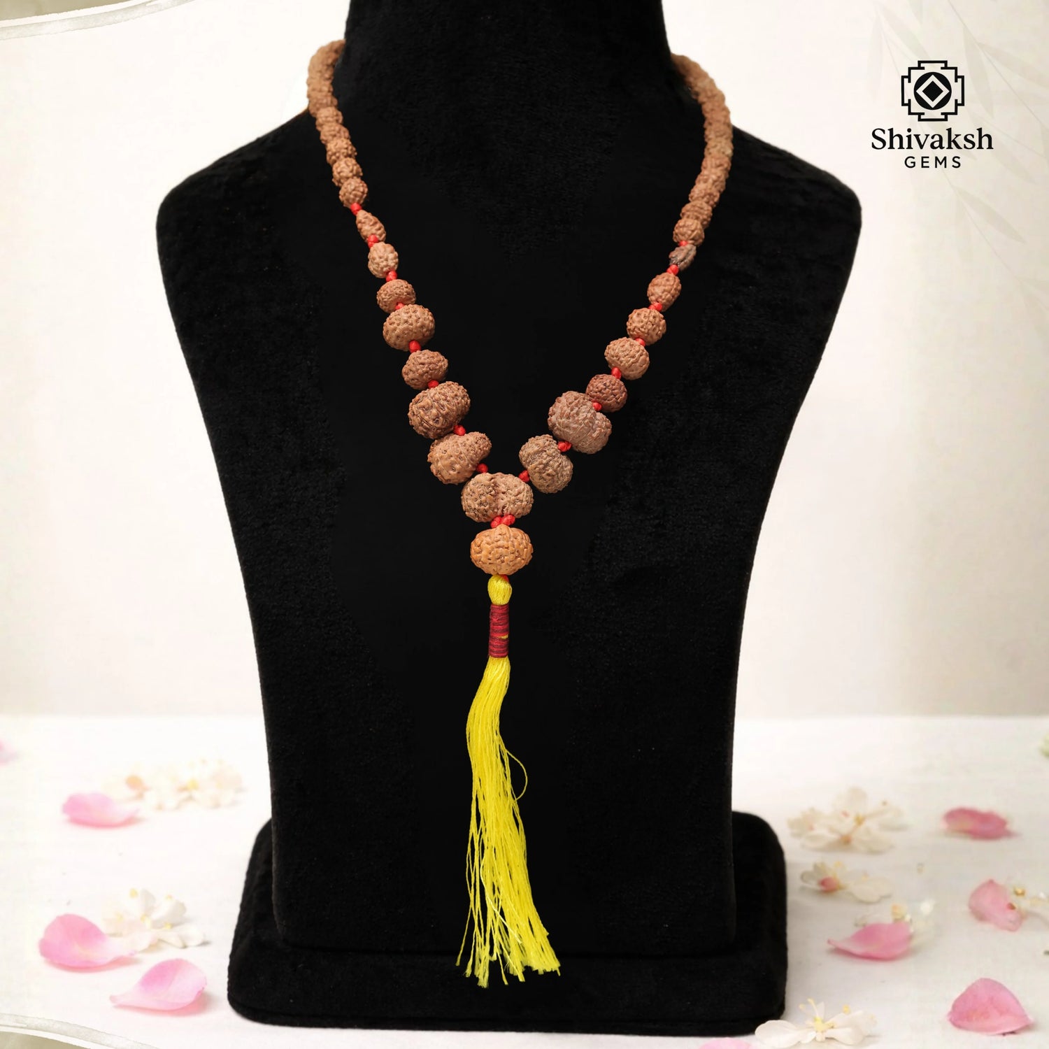 1 - 14 Mukhi Indonesian Rudraksha Kantha