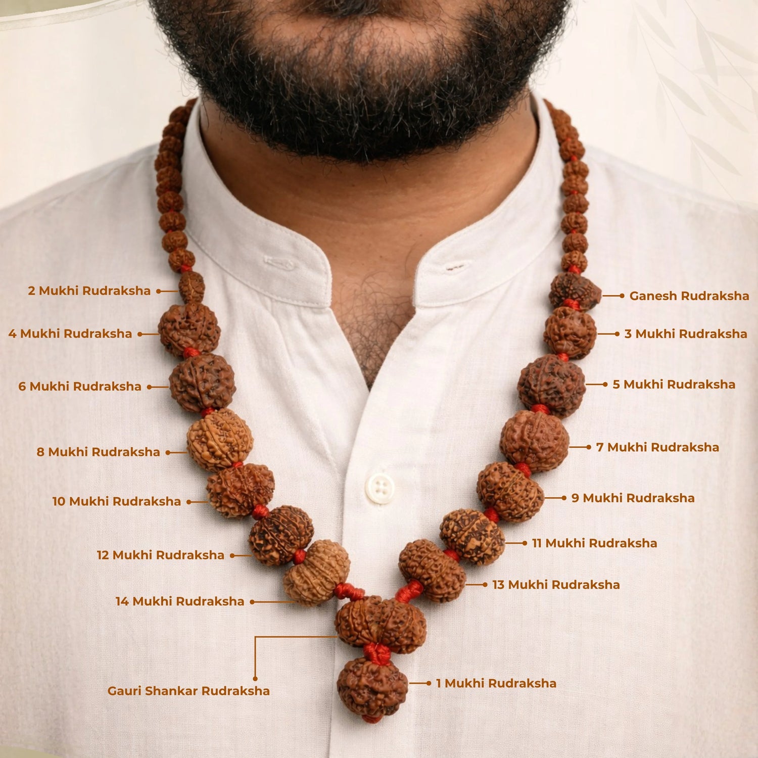 1 - 14 Mukhi Nepali Rudraksha Kantha