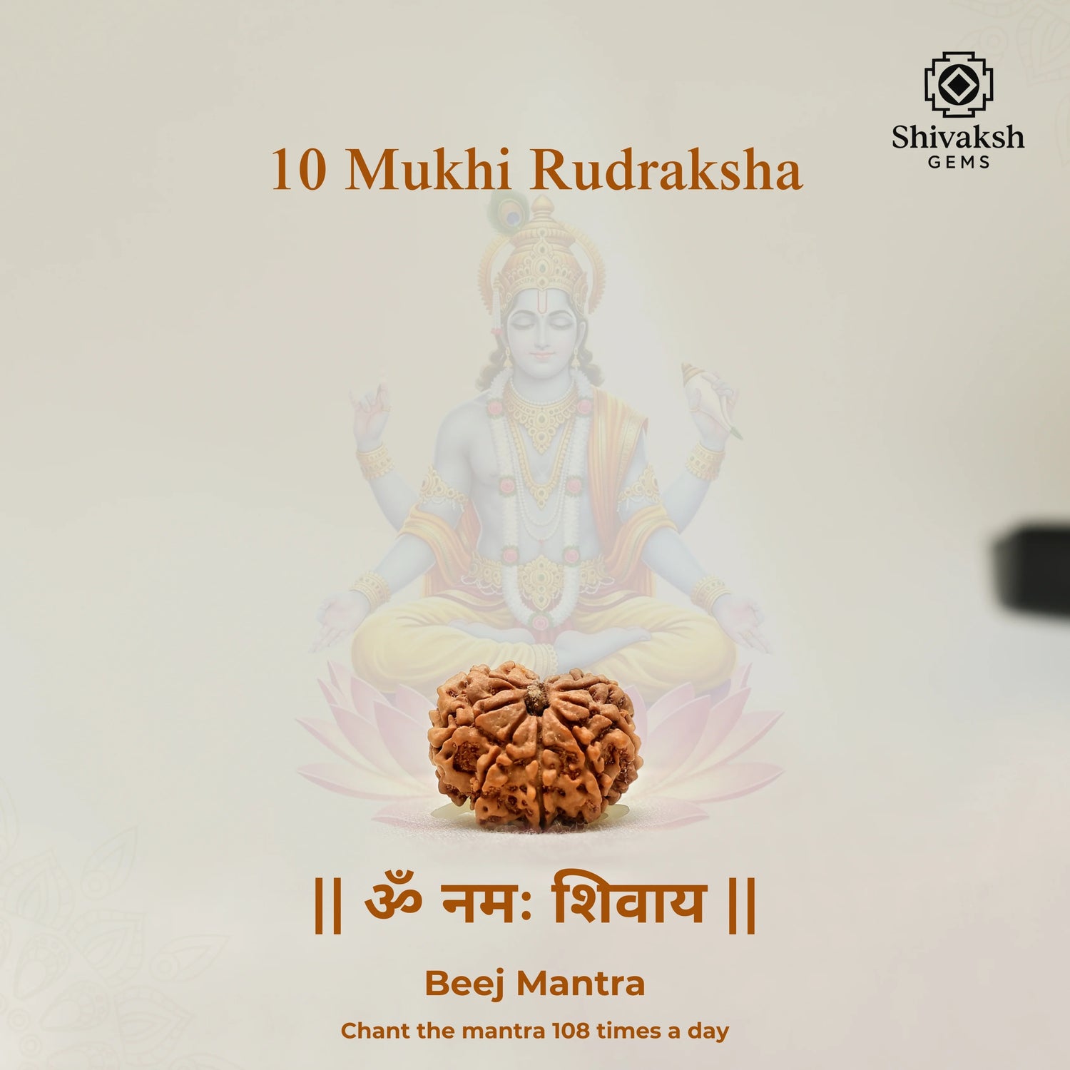 10 Mukhi Nepali Rudraksha