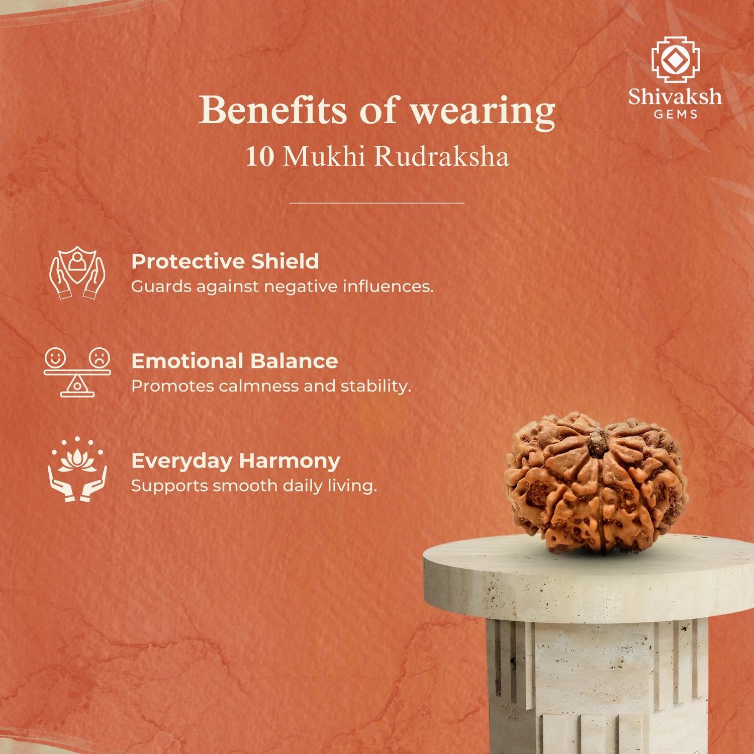 10 Mukhi Nepali Rudraksha