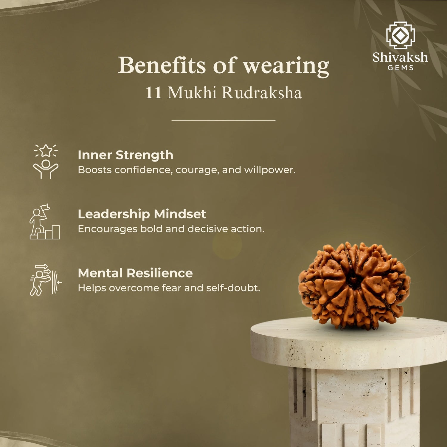 11 Mukhi Nepali Rudraksha