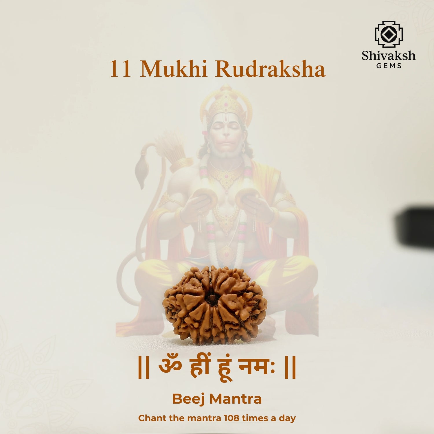 11 Mukhi Nepali Rudraksha