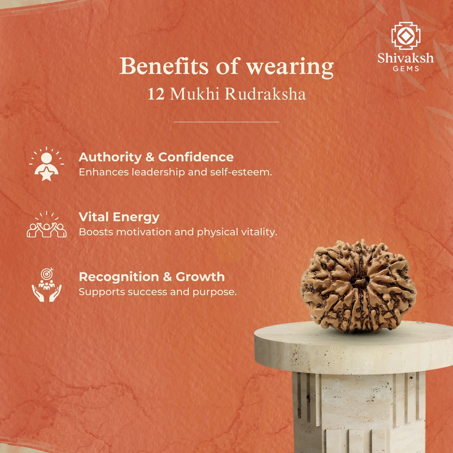 12 Mukhi Nepali Rudraksha