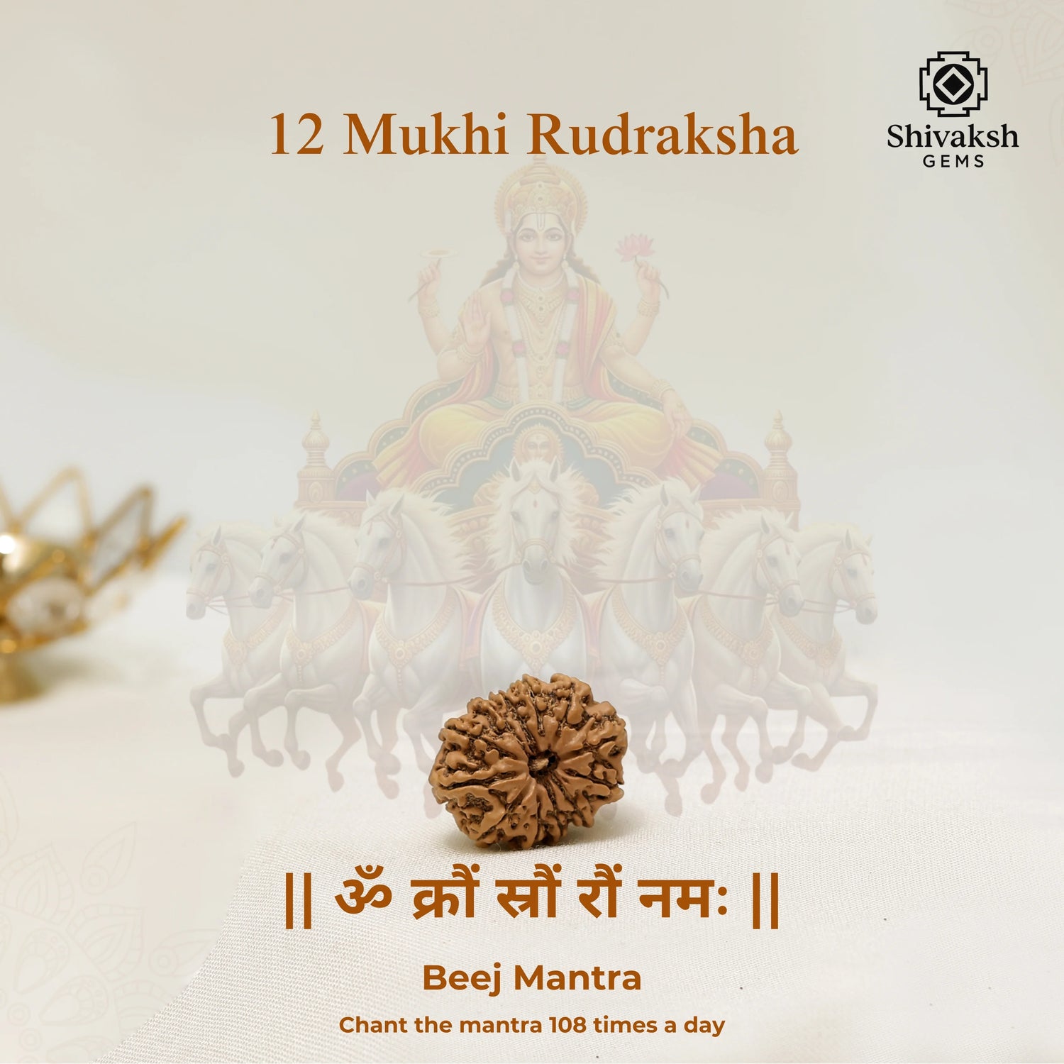 12 Mukhi Nepali Rudraksha