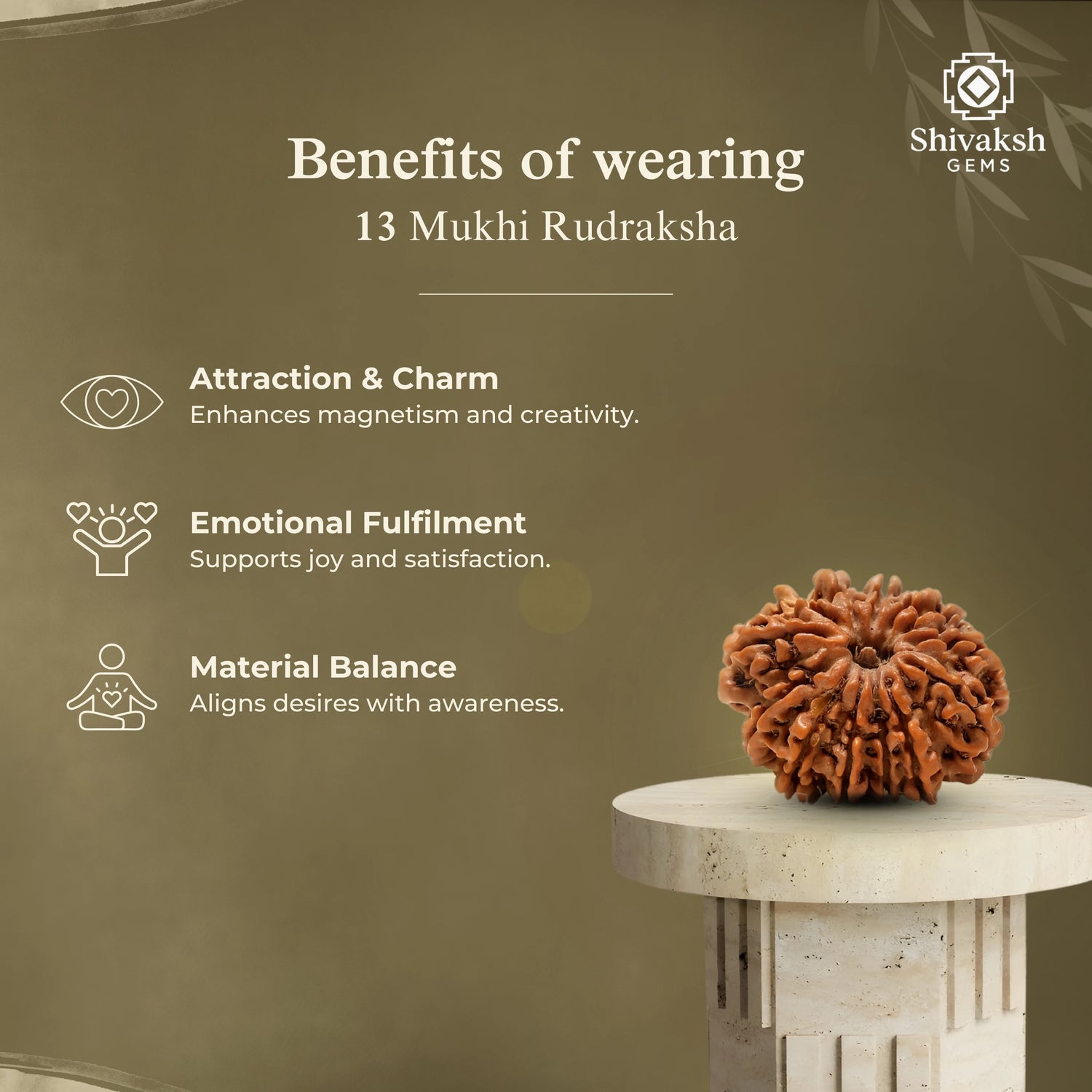 13 Mukhi Nepali Rudraksha