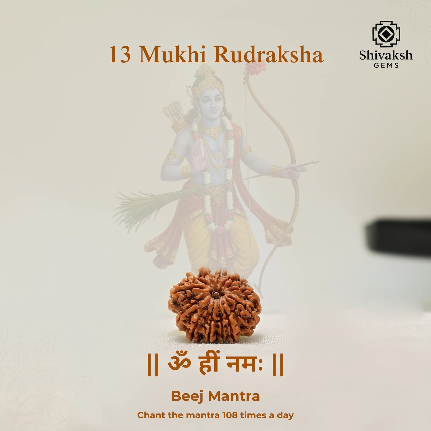 13 Mukhi Nepali Rudraksha
