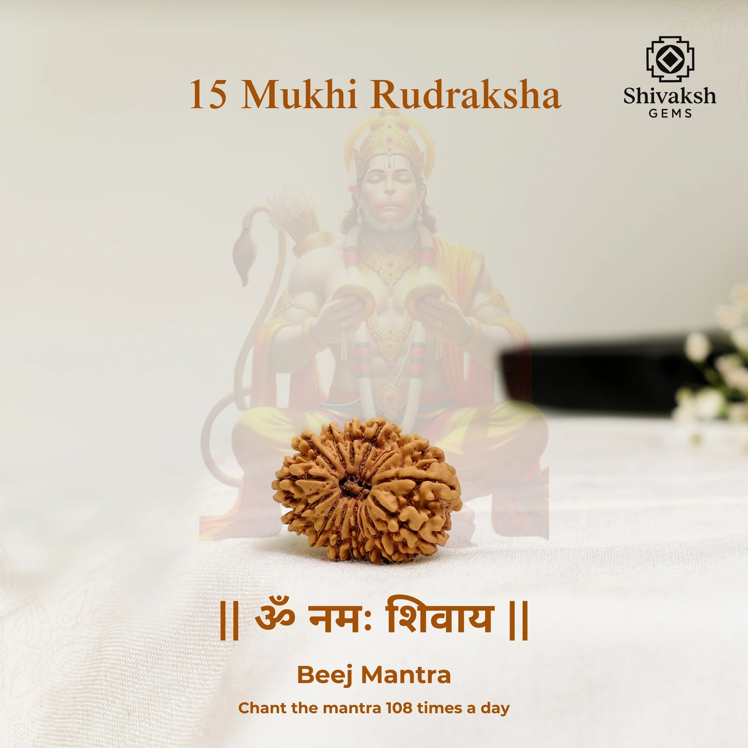 15 Mukhi Nepali Rudraksha