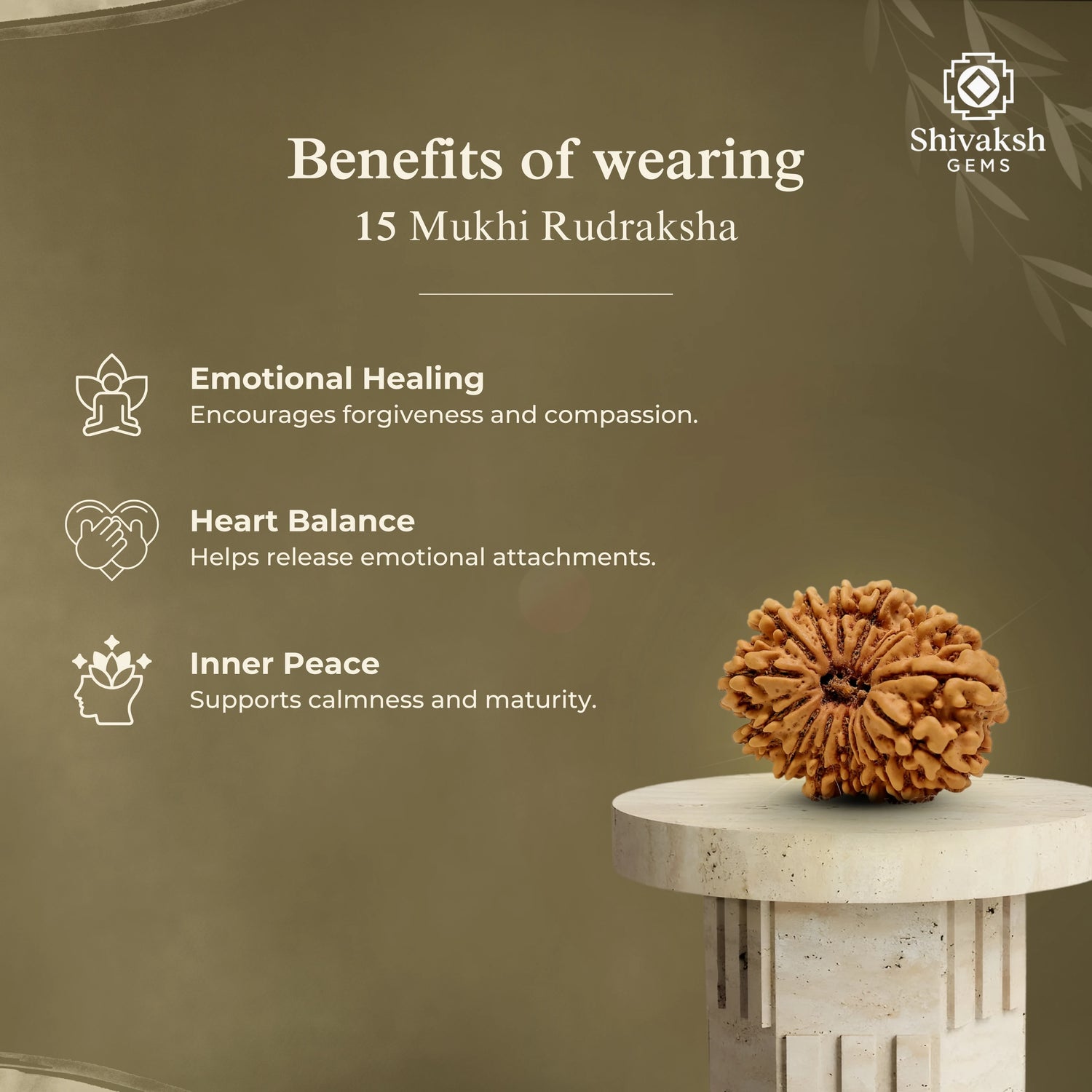 15 Mukhi Nepali Rudraksha