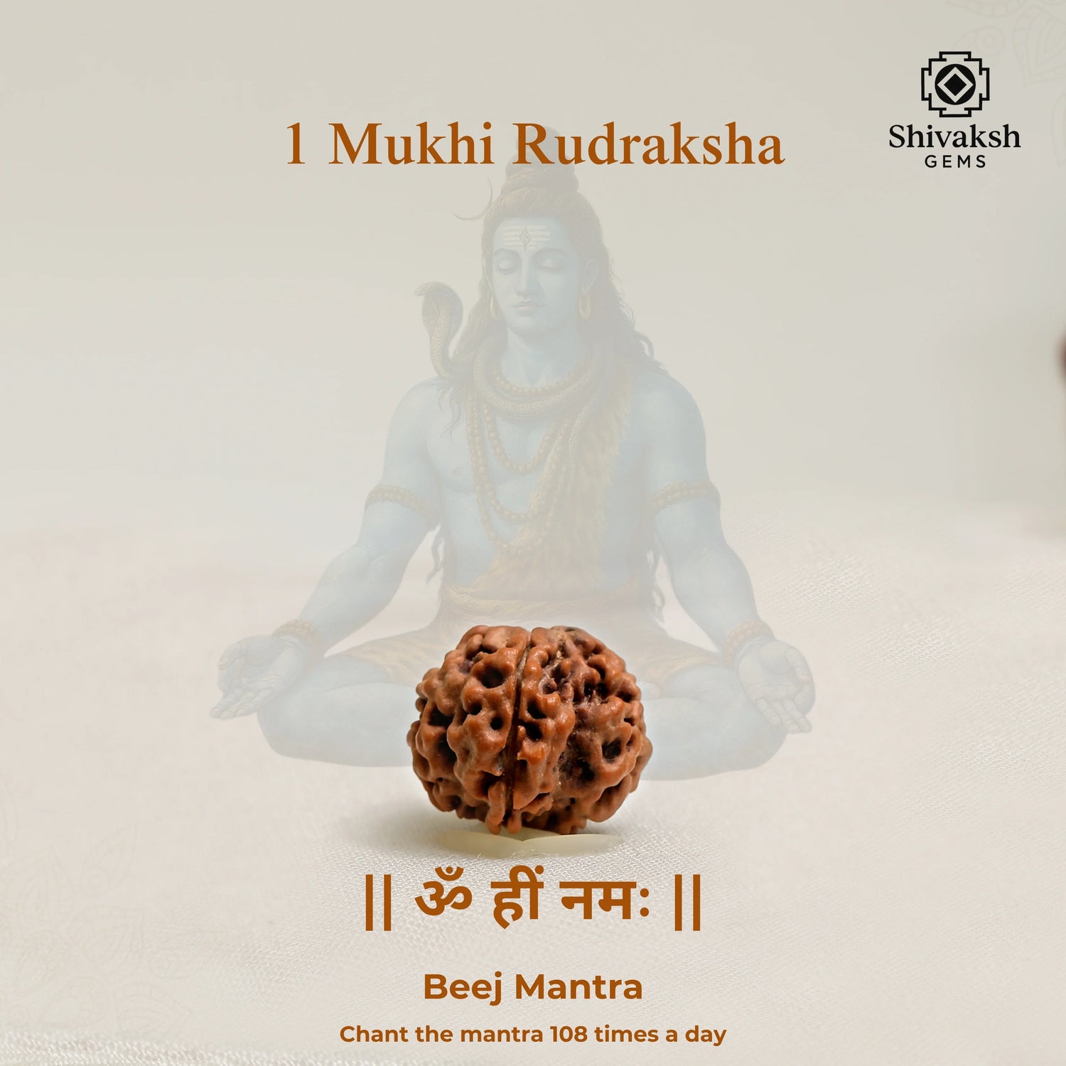1 Mukhi Nepali Rudraksha