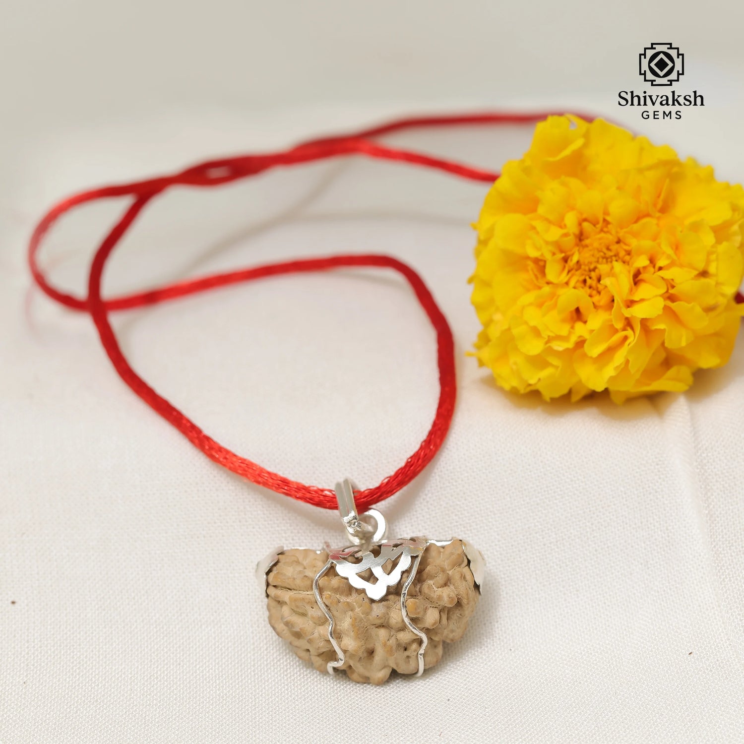 1 Mukhi Rudraksha Pendant