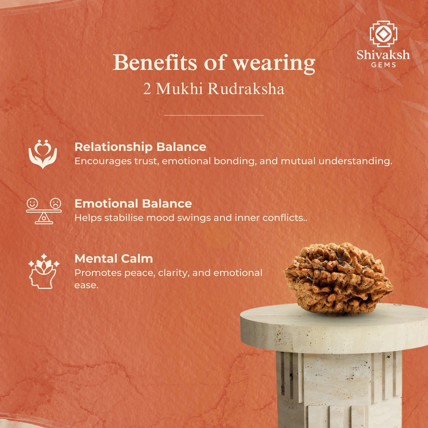 2 Mukhi Indian Rudraksha