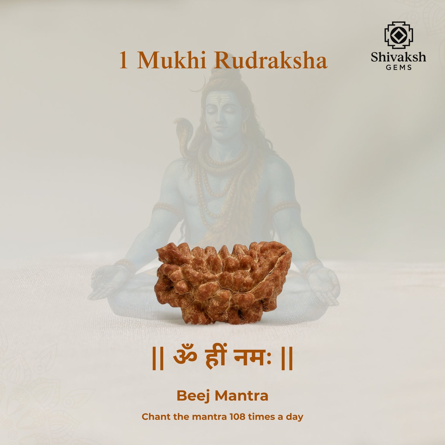 1 Mukhi Indian Rudraksha