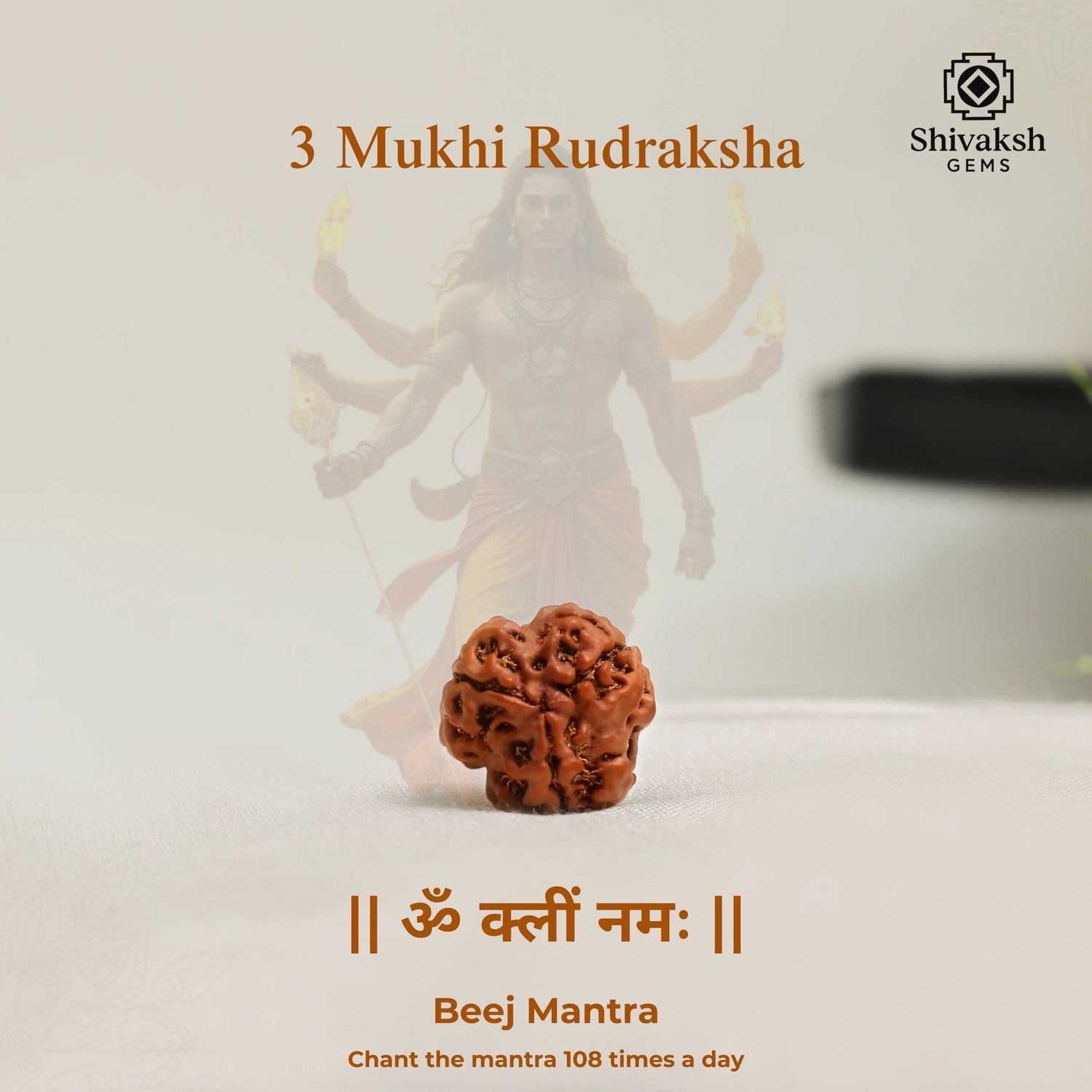 3 Mukhi Nepali Rudraksha