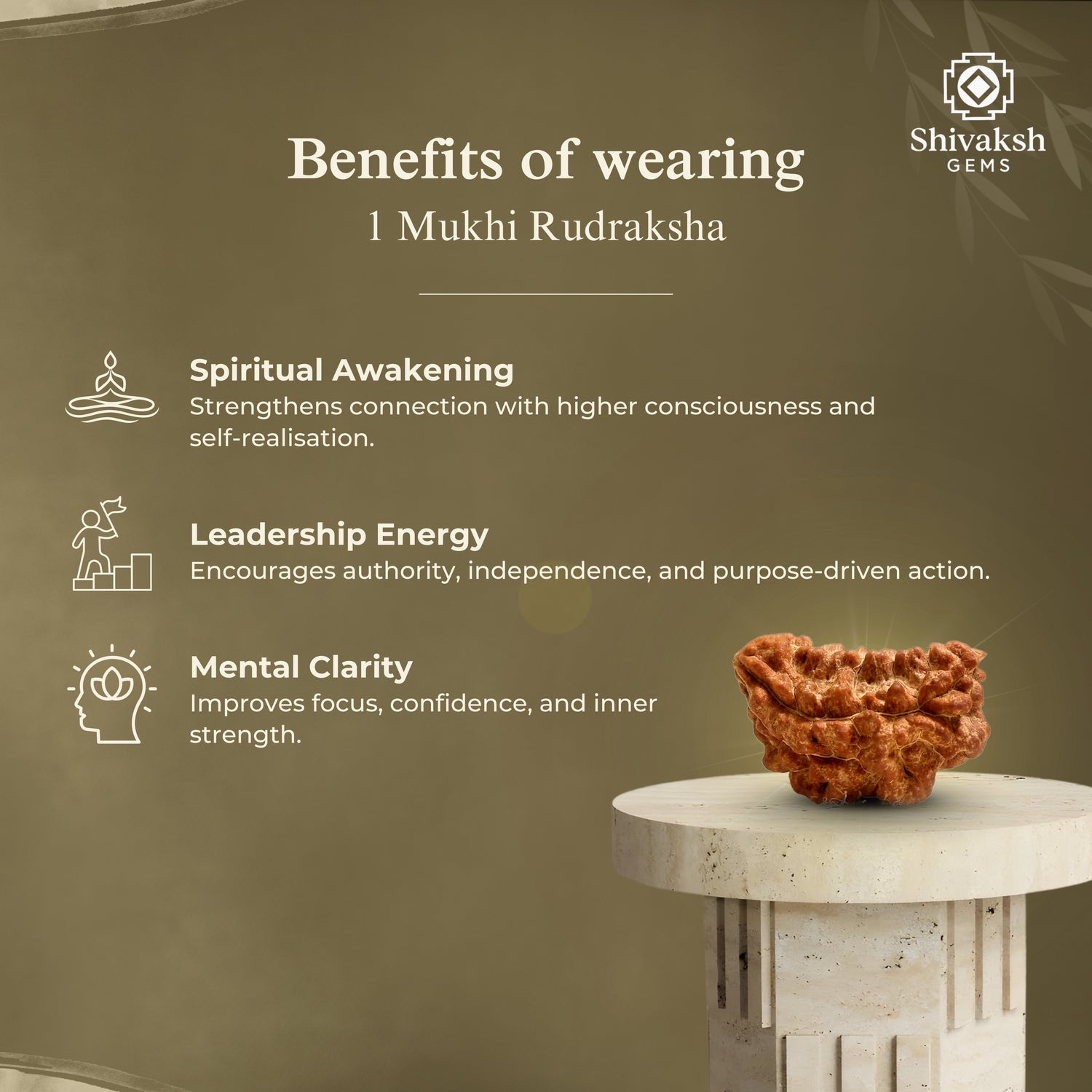 1 Mukhi Indian Rudraksha