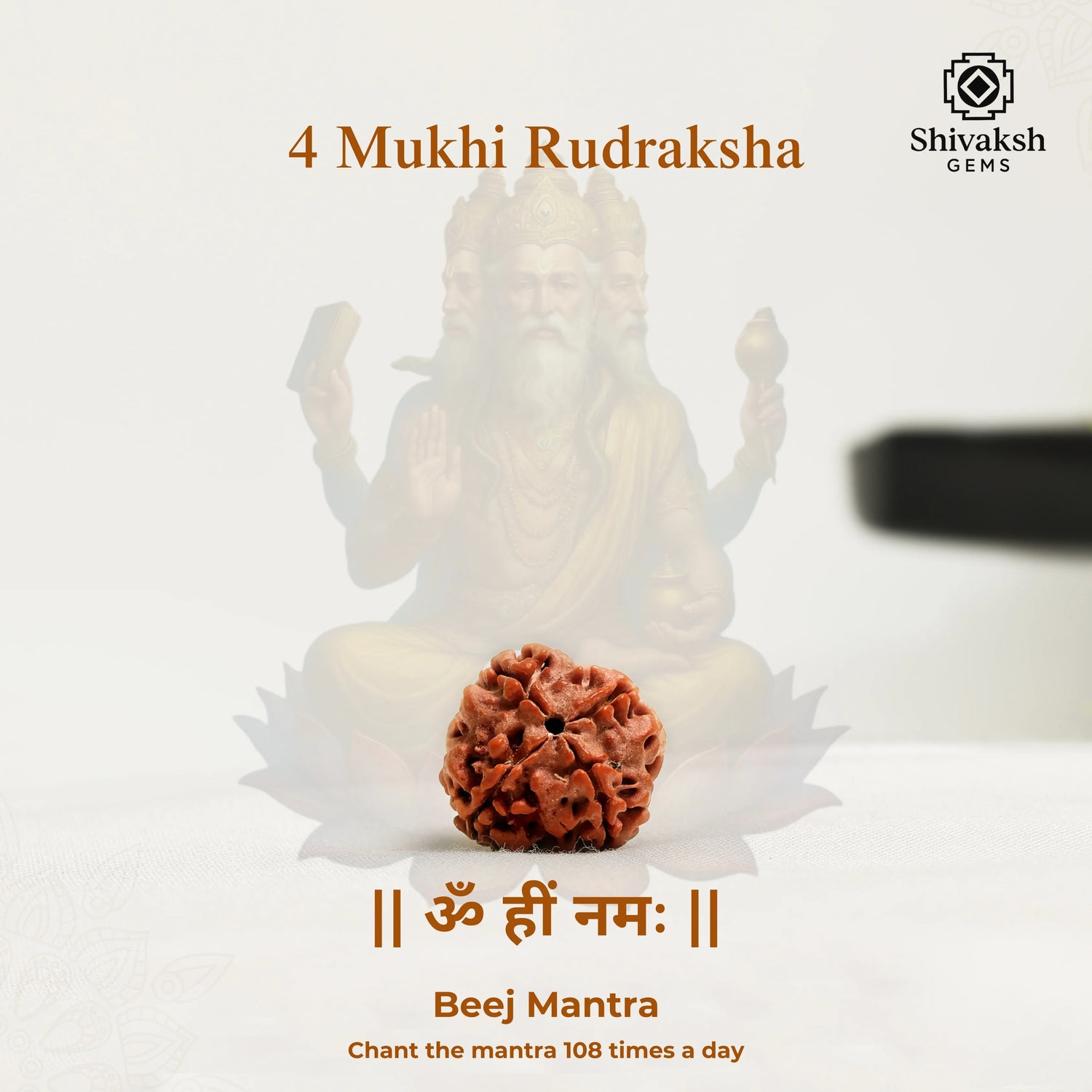 4 Mukhi Nepali Rudraksha
