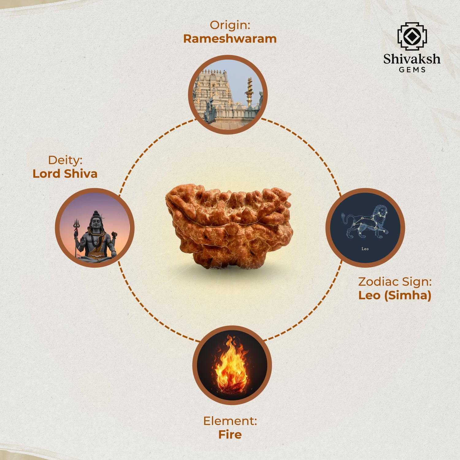 1 Mukhi Indian Rudraksha