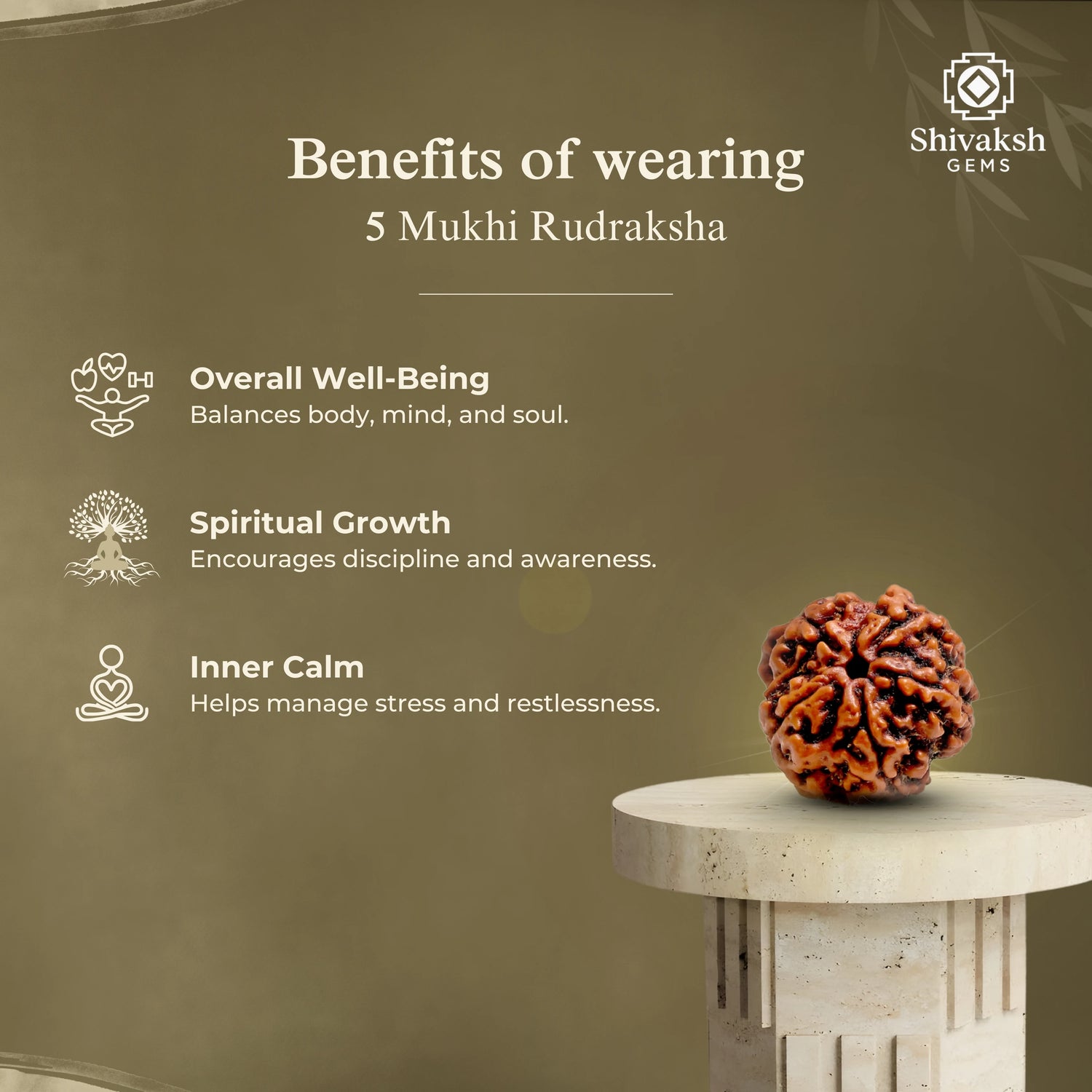 5 Mukhi Nepali Rudraksha