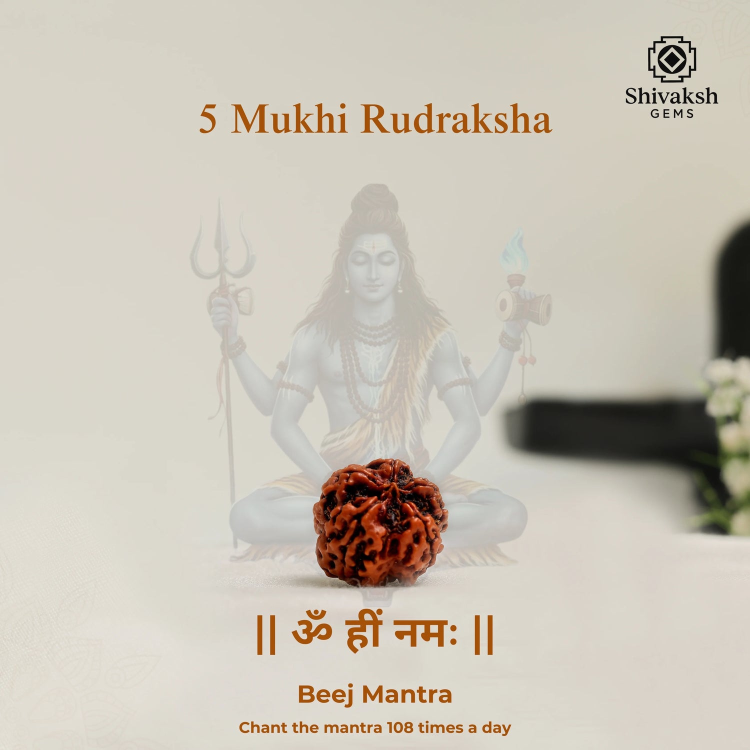 5 Mukhi Nepali Rudraksha
