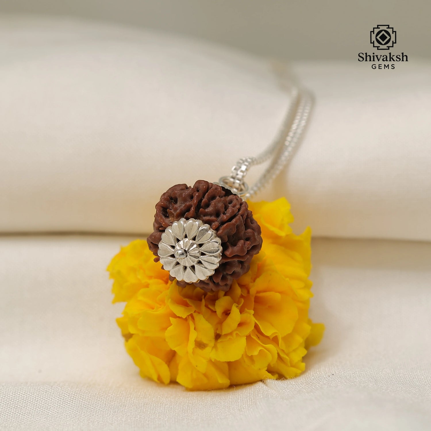 5 Mukhi Rudraksha Pendant