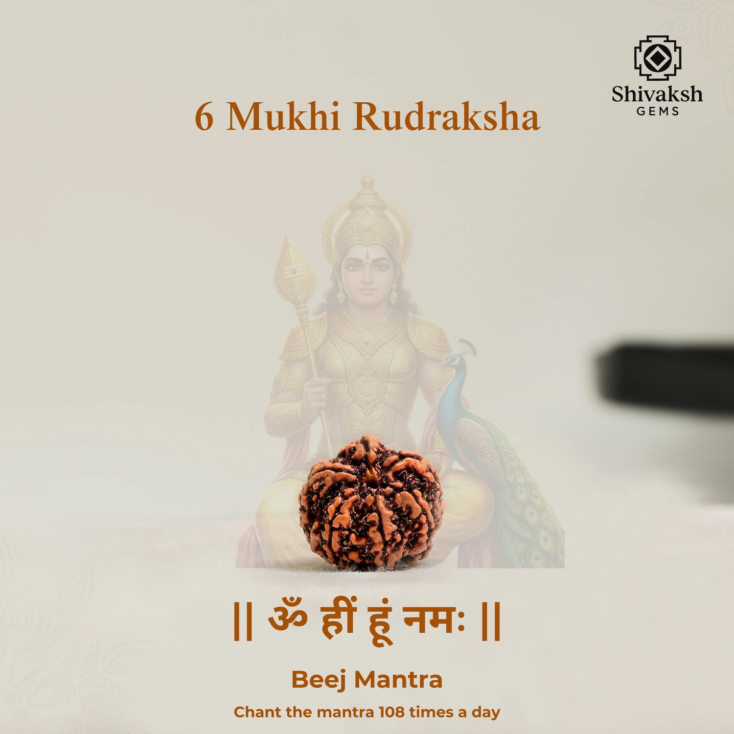 6 Mukhi Nepali Rudraksha