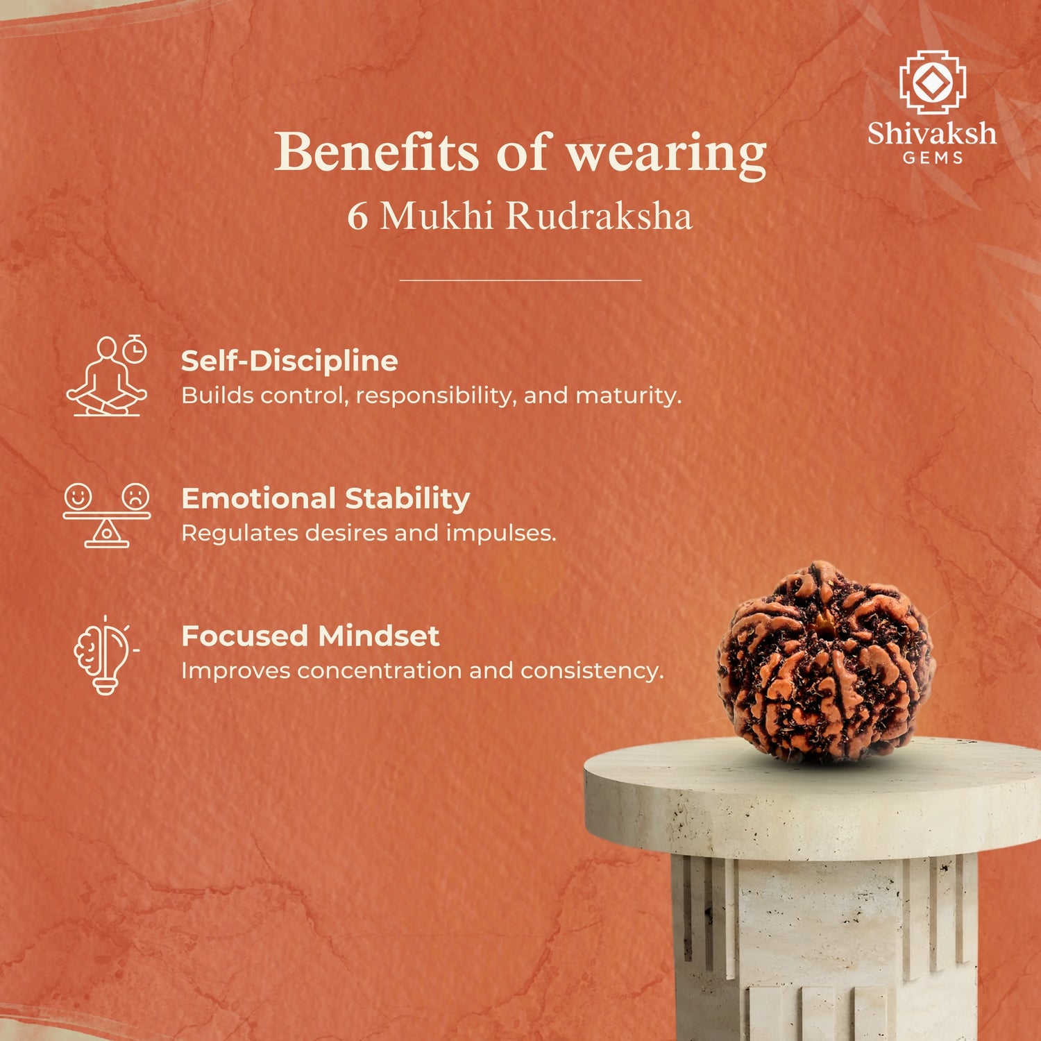 6 Mukhi Nepali Rudraksha