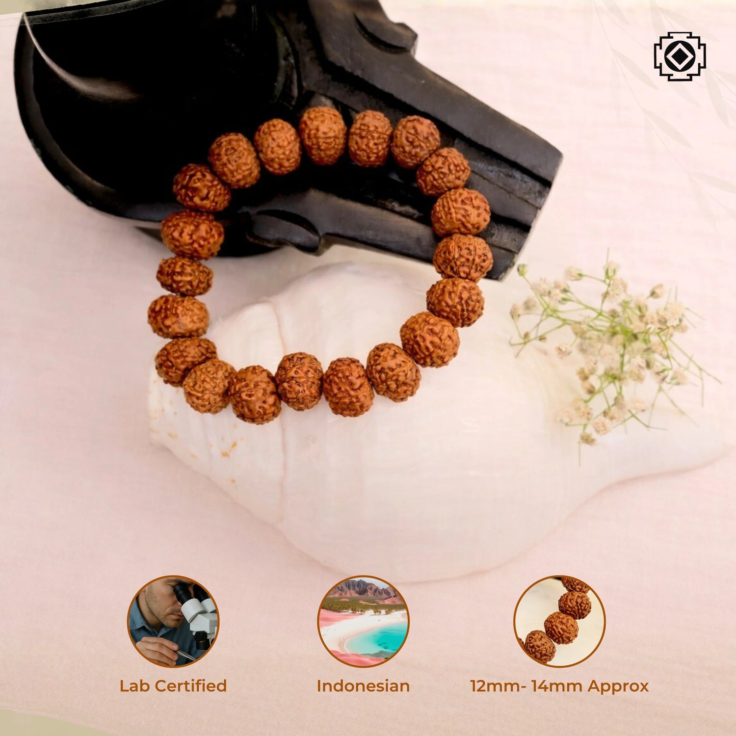 7 Mukhi Rudraksha Bracelet