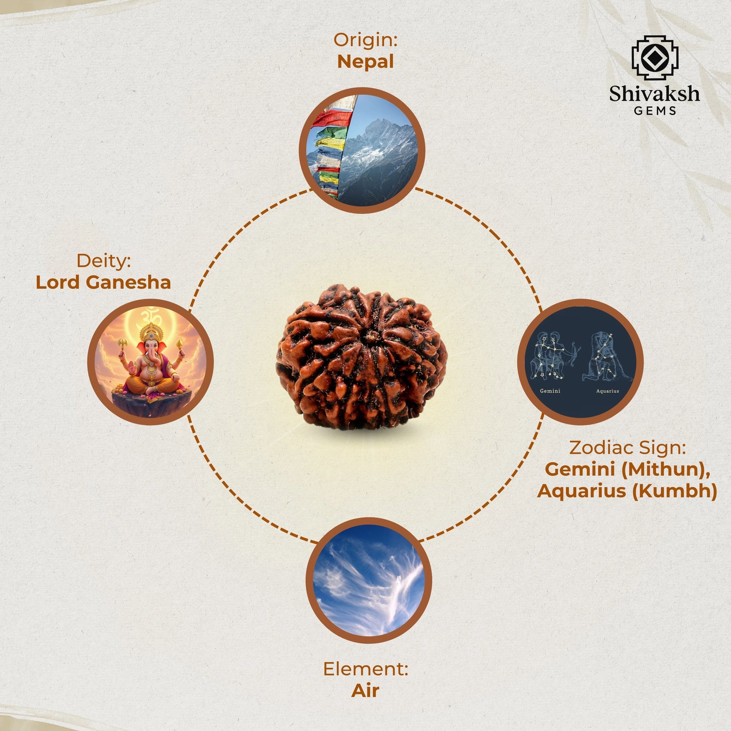 8 Mukhi Nepali Rudraksha
