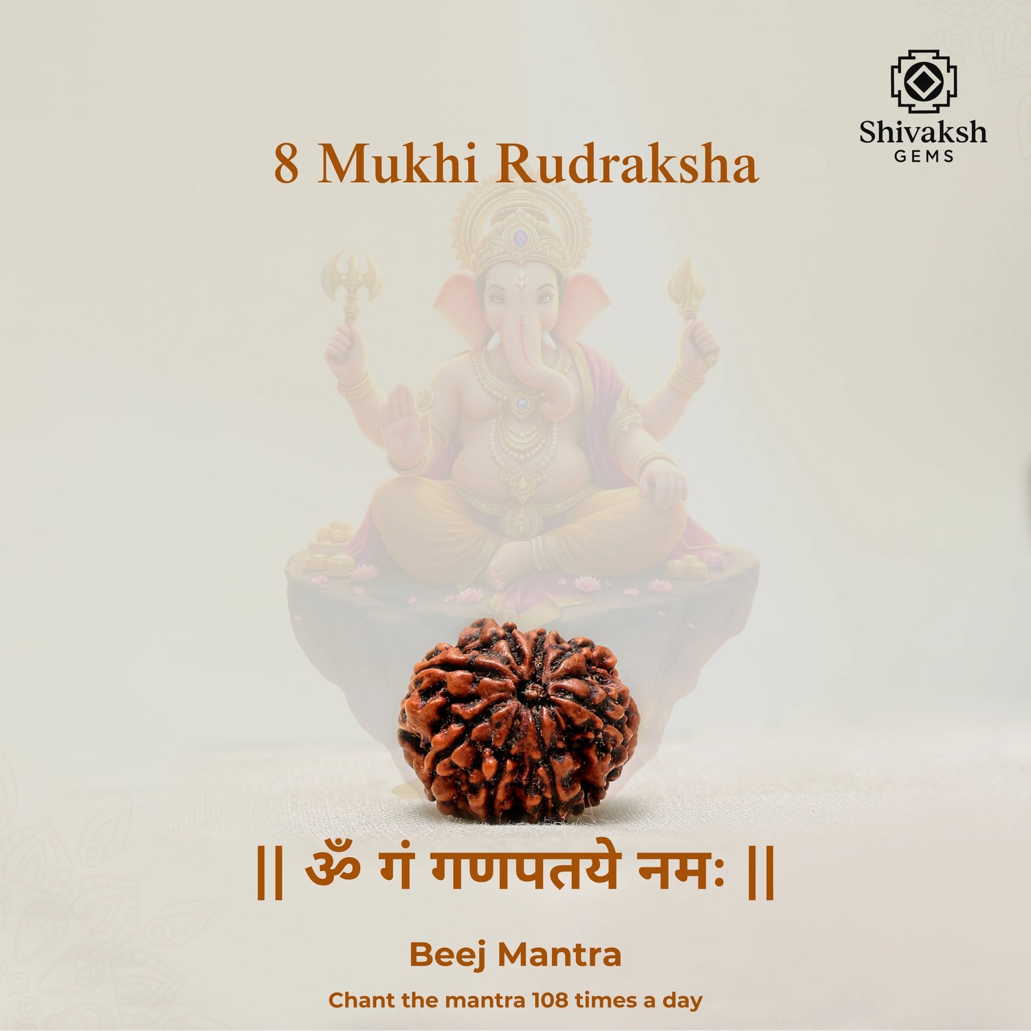8 Mukhi Nepali Rudraksha