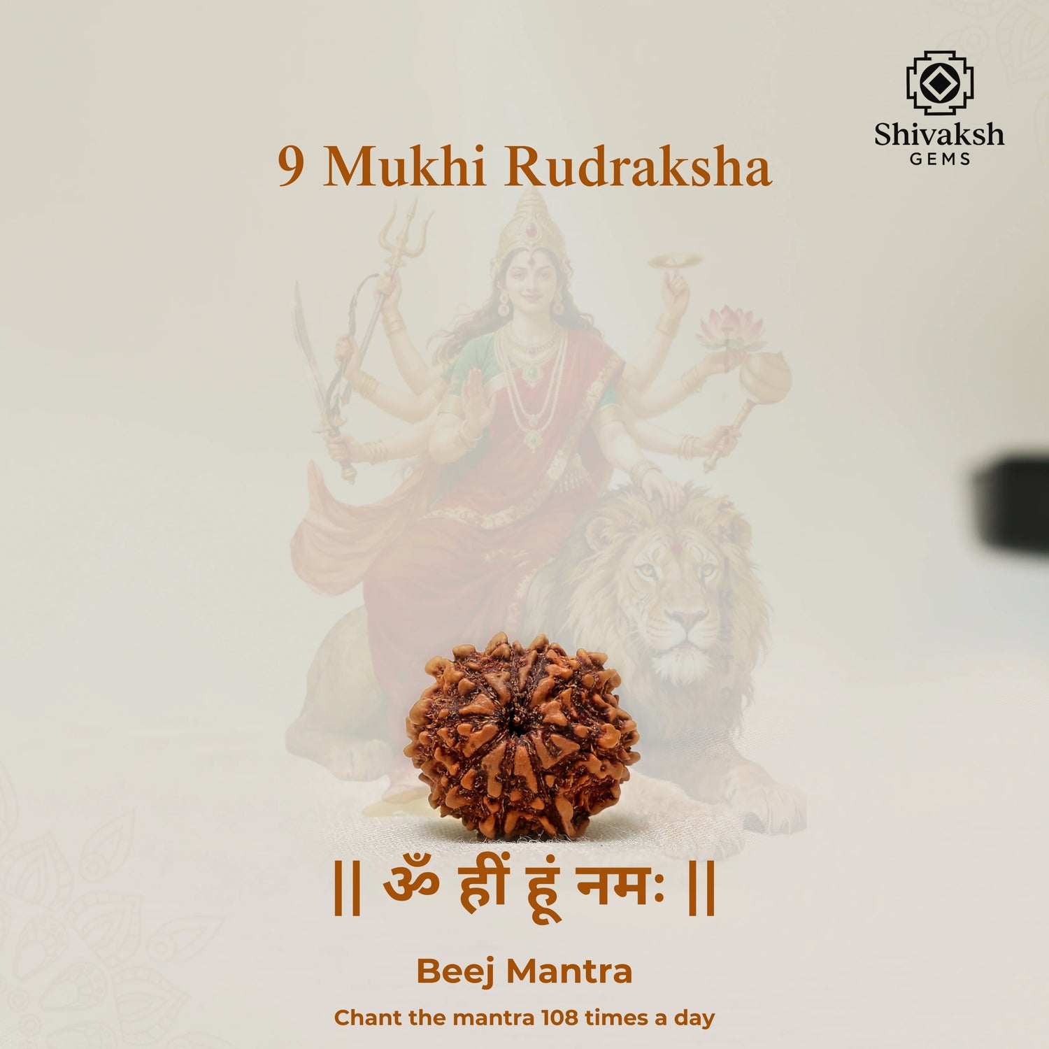 9 Mukhi Nepali Rudraksha
