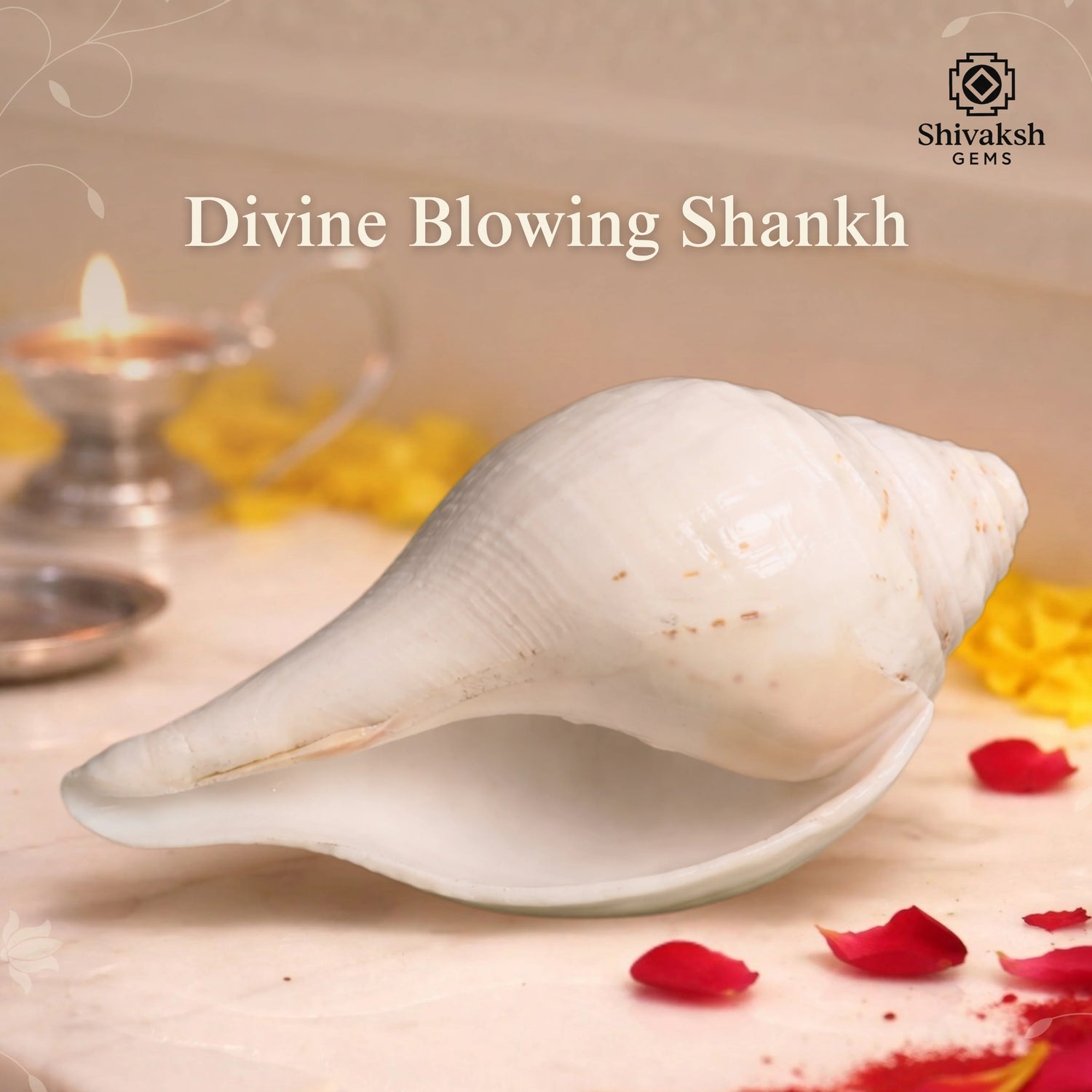 Divine Blowing Shankh