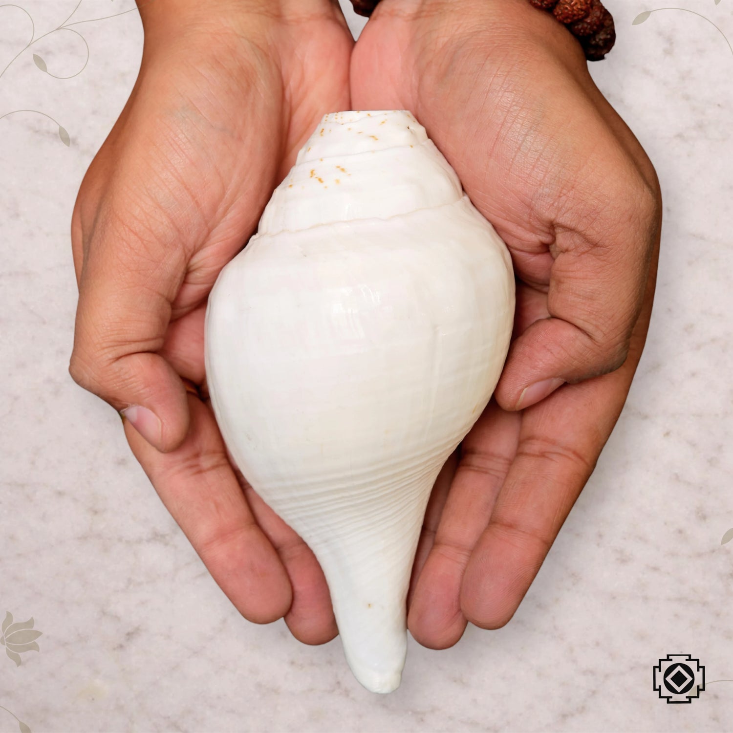 Divine Blowing Shankh