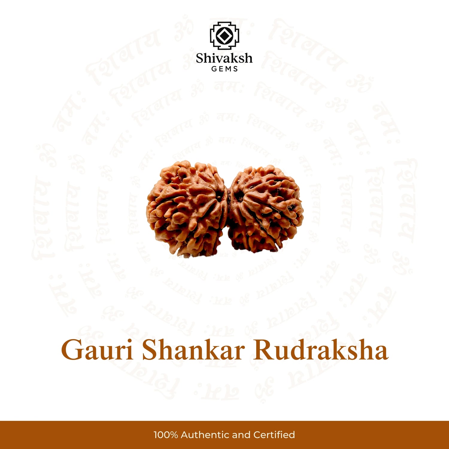 Gauri Shankar