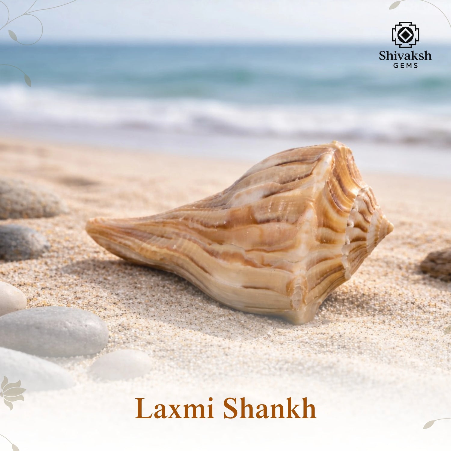 Laxmi Shankh