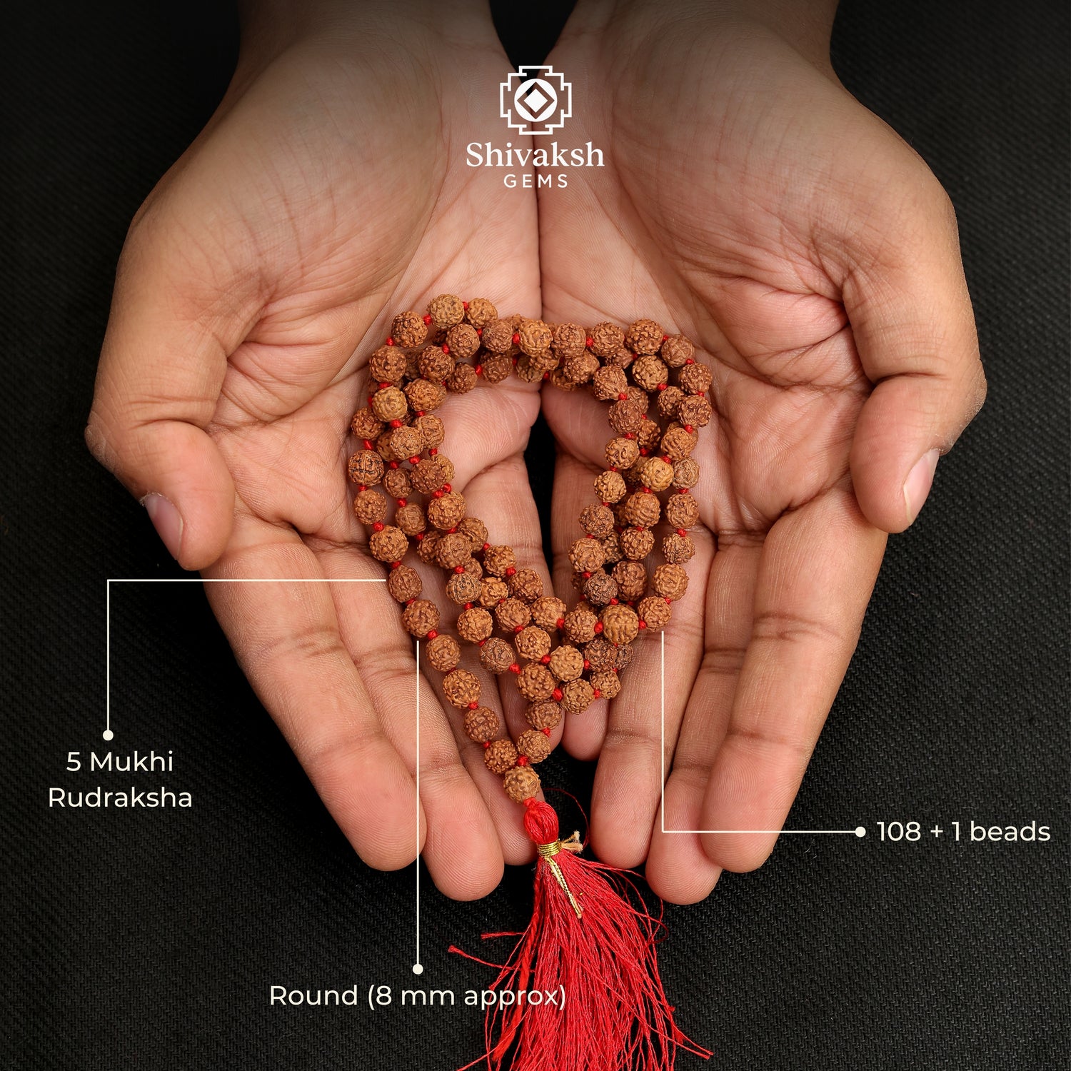 Rudraksha Pathri Mala