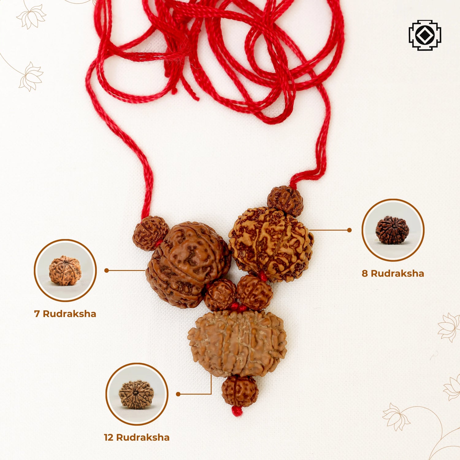 Kawach for founders and Businessman 12, 7 & 8 Mukhi